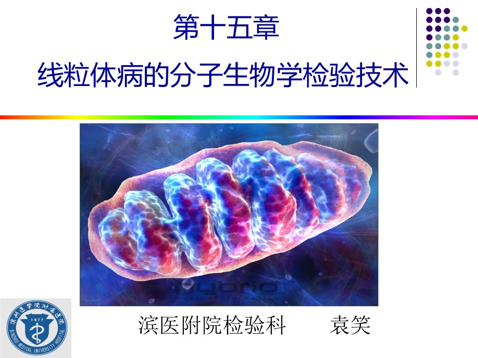 肿瘤的分子生物学检验技术课件