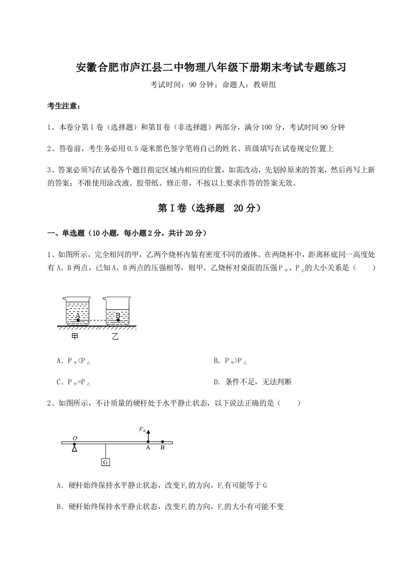 安徽合肥市庐江县二中物理八年级下册期末考试专题练习A卷（详解版）