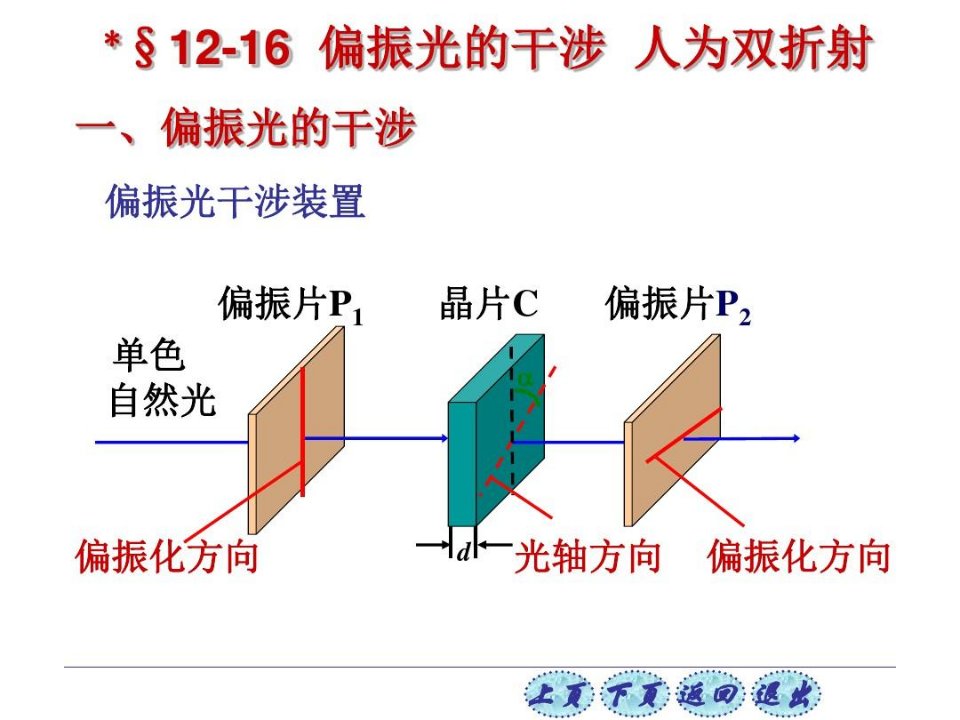 偏振光干涉装置