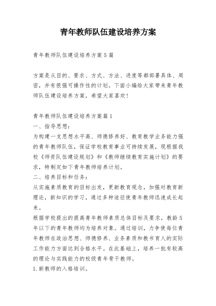 青年教师队伍建设培养方案