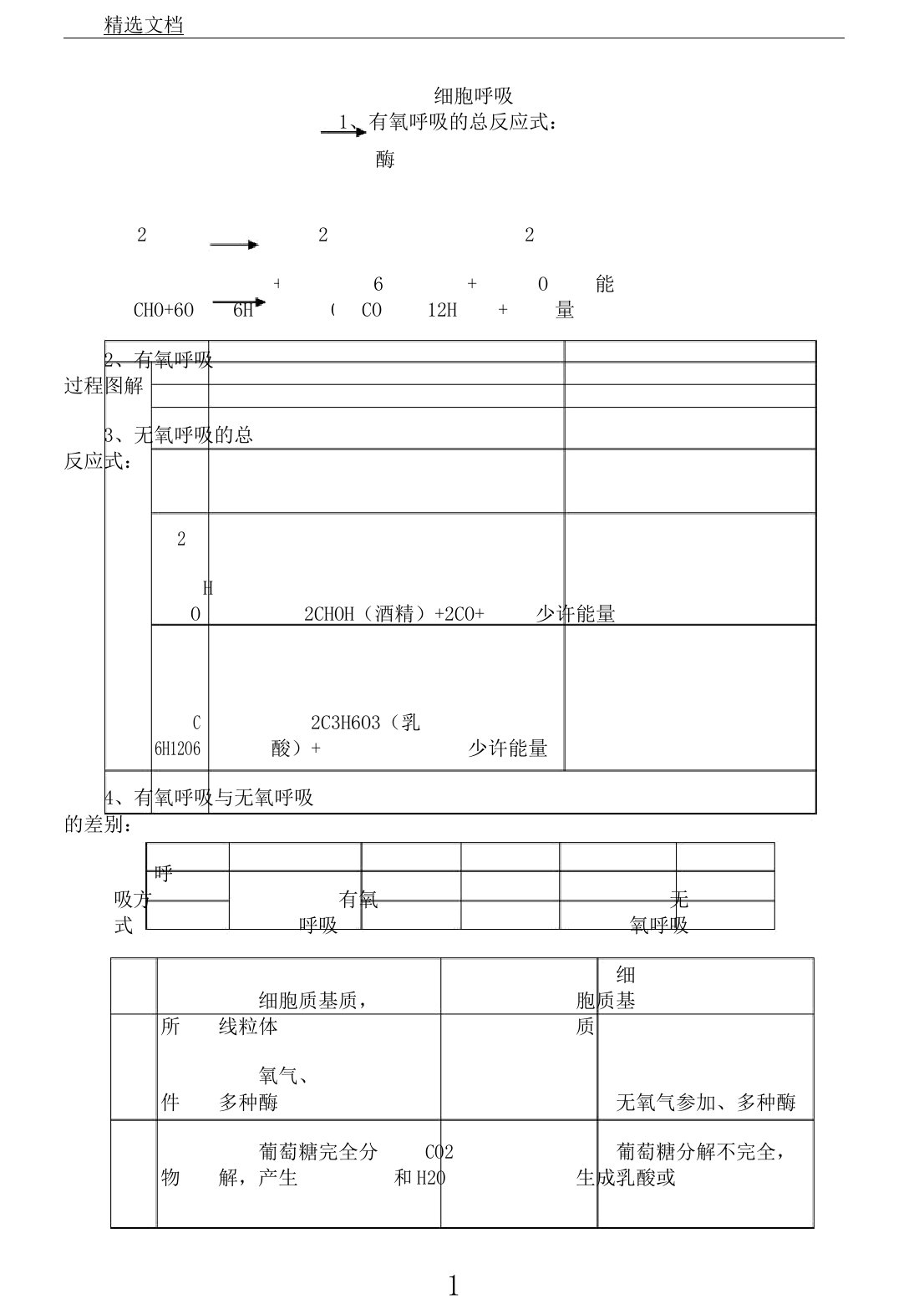 细胞呼吸专题复习计划