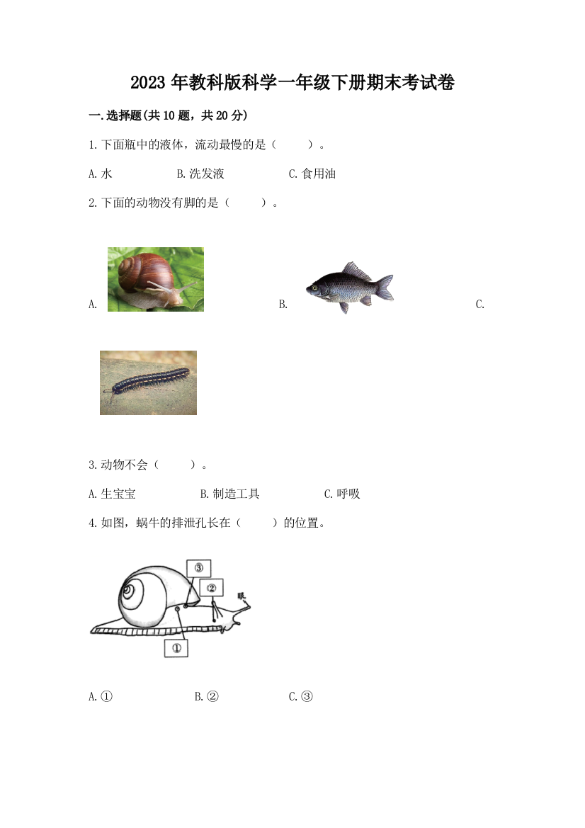 2023年教科版科学一年级下册期末考试卷（考点梳理）