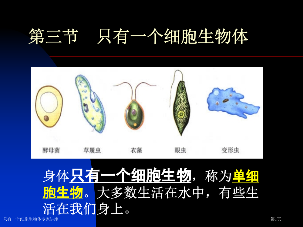 只有一个细胞生物体专家讲座