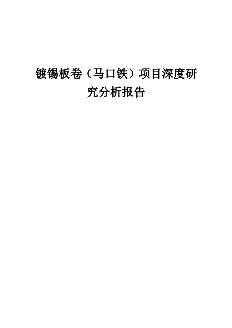 2024年镀锡板卷（马口铁）项目深度研究分析报告