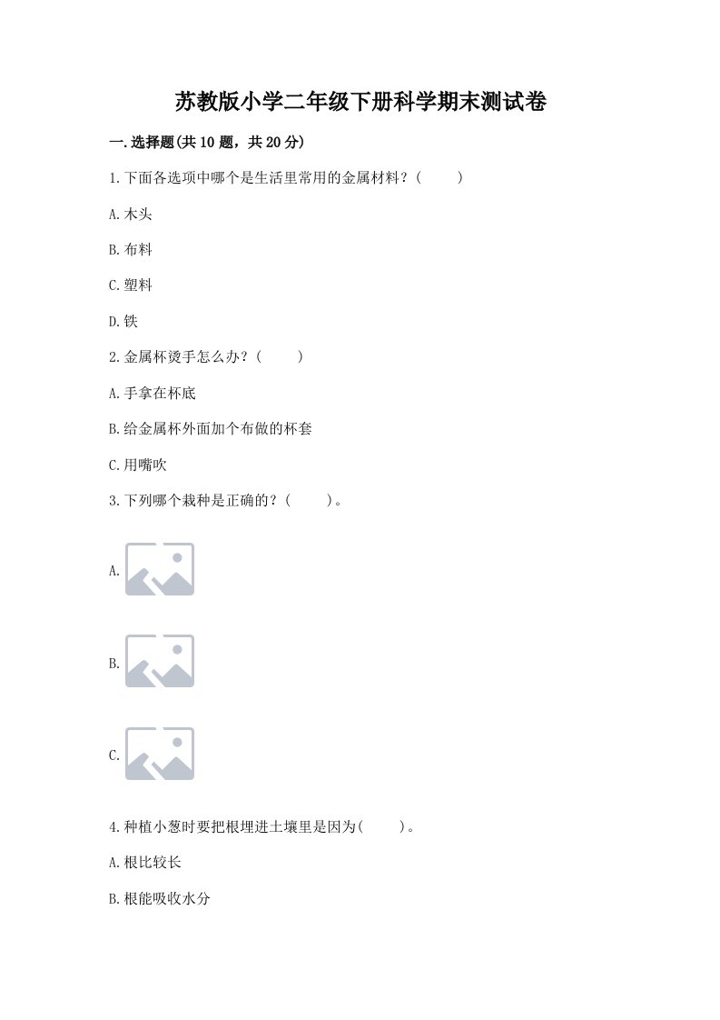 苏教版小学二年级下册科学期末测试卷（基础题）