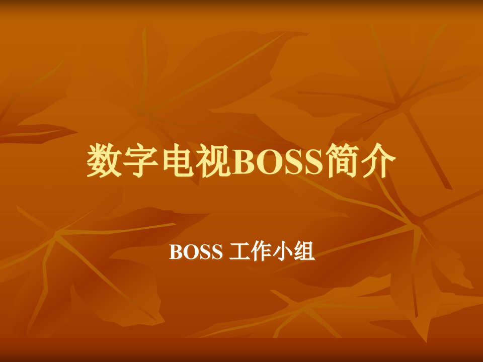 [精选]数字电视BOSS简介1