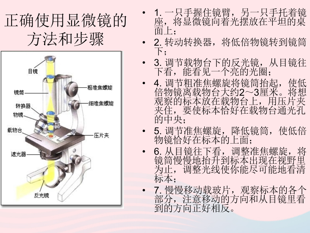 六年级科学下册