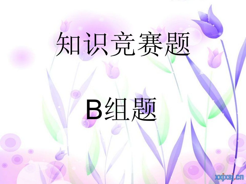 百科知识竞赛PPT-B组题