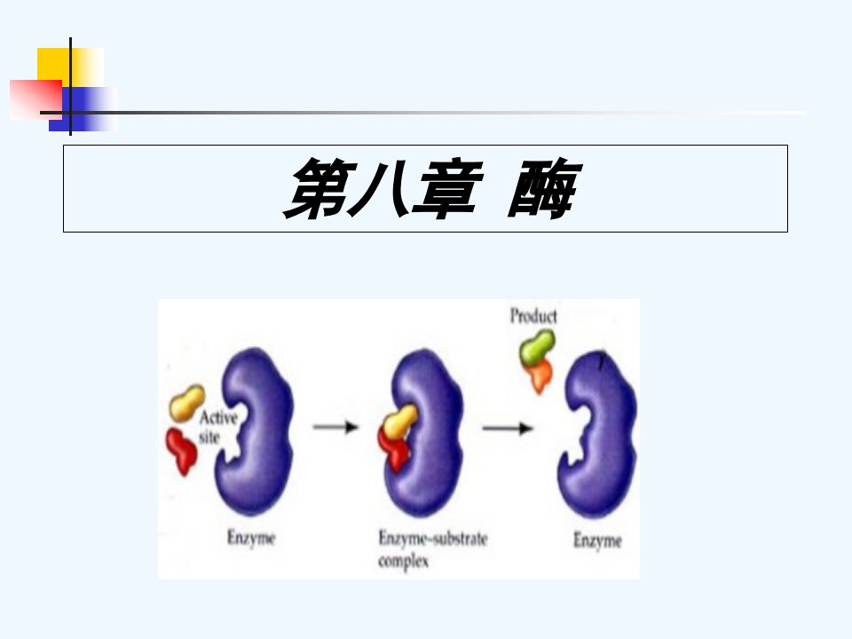 食品化学八酶公开课获奖课件百校联赛一等奖课件