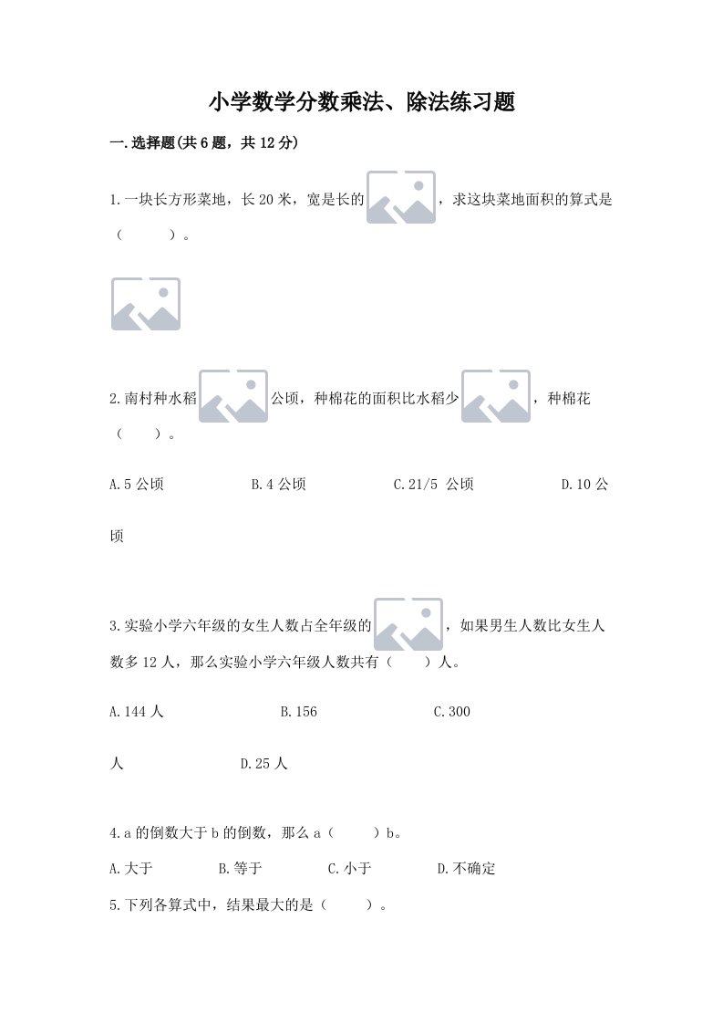 小学数学分数乘法、除法练习题精品（历年真题）