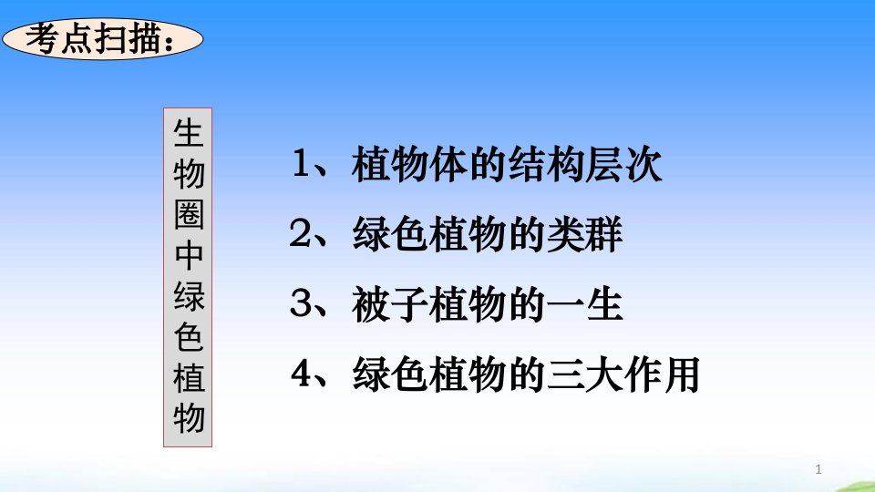 生物圈中的绿色植物专题复习