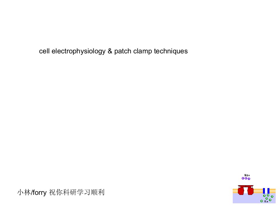 细胞电生理学与膜片钳技术1