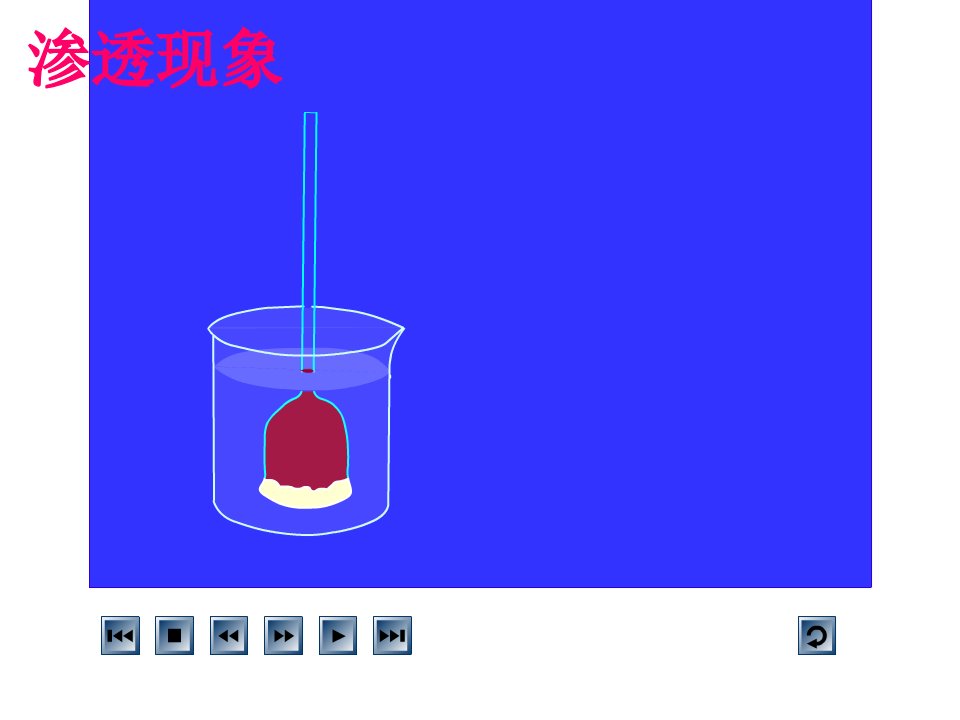 物质跨膜运输实例修改