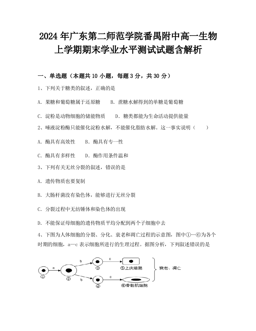 2024年广东第二师范学院番禺附中高一生物上学期期末学业水平测试试题含解析