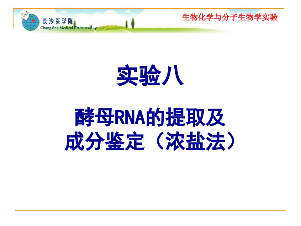 实验八酵母RNA的提取及成分鉴定浓盐法