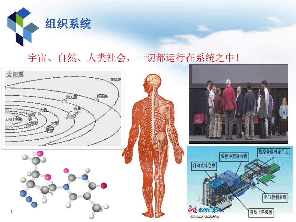 组织理论和组织结构设计上课课堂