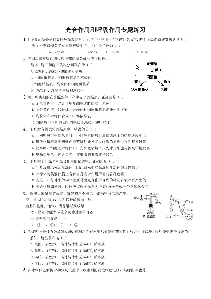 光合作用和呼吸作用专题练习题及答案