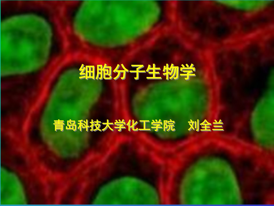 细胞分子生物学89