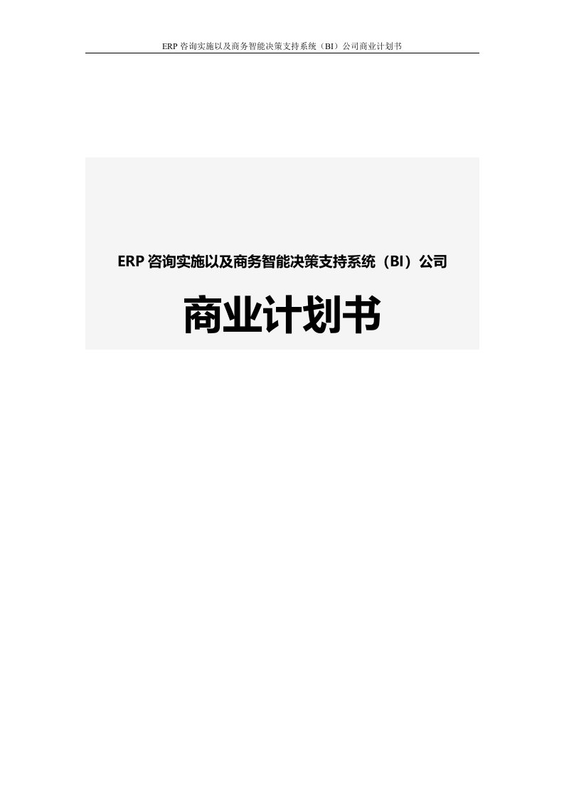 ERP咨询实施以及商务智能决策支持系统BI公司商业计划书