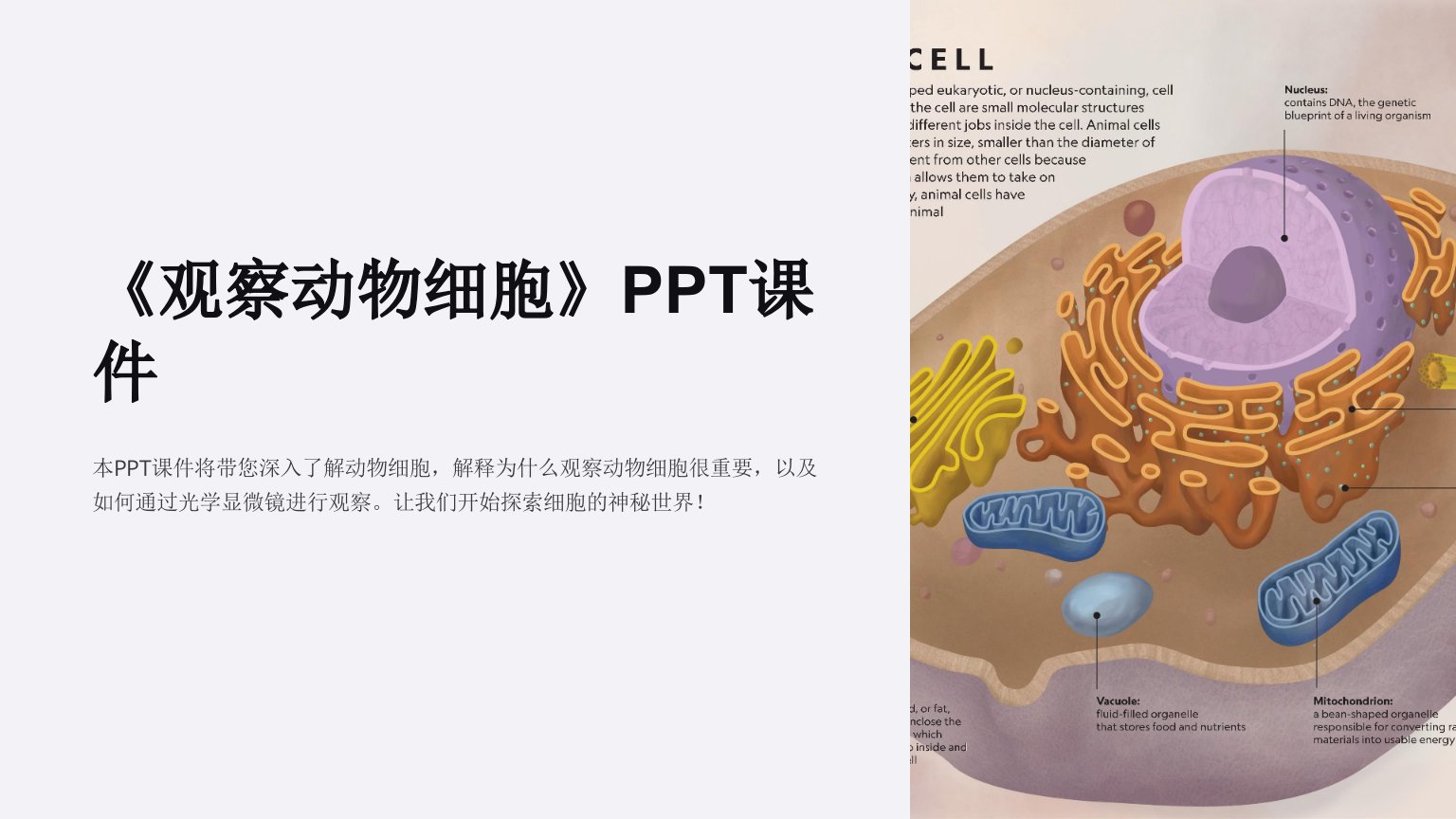 《观察动物细胞》课件