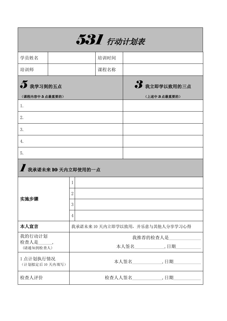 531行动计划表整理版