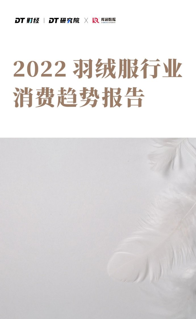 DT财经,库润数据-2022羽绒服行业消费趋势报告-20221215