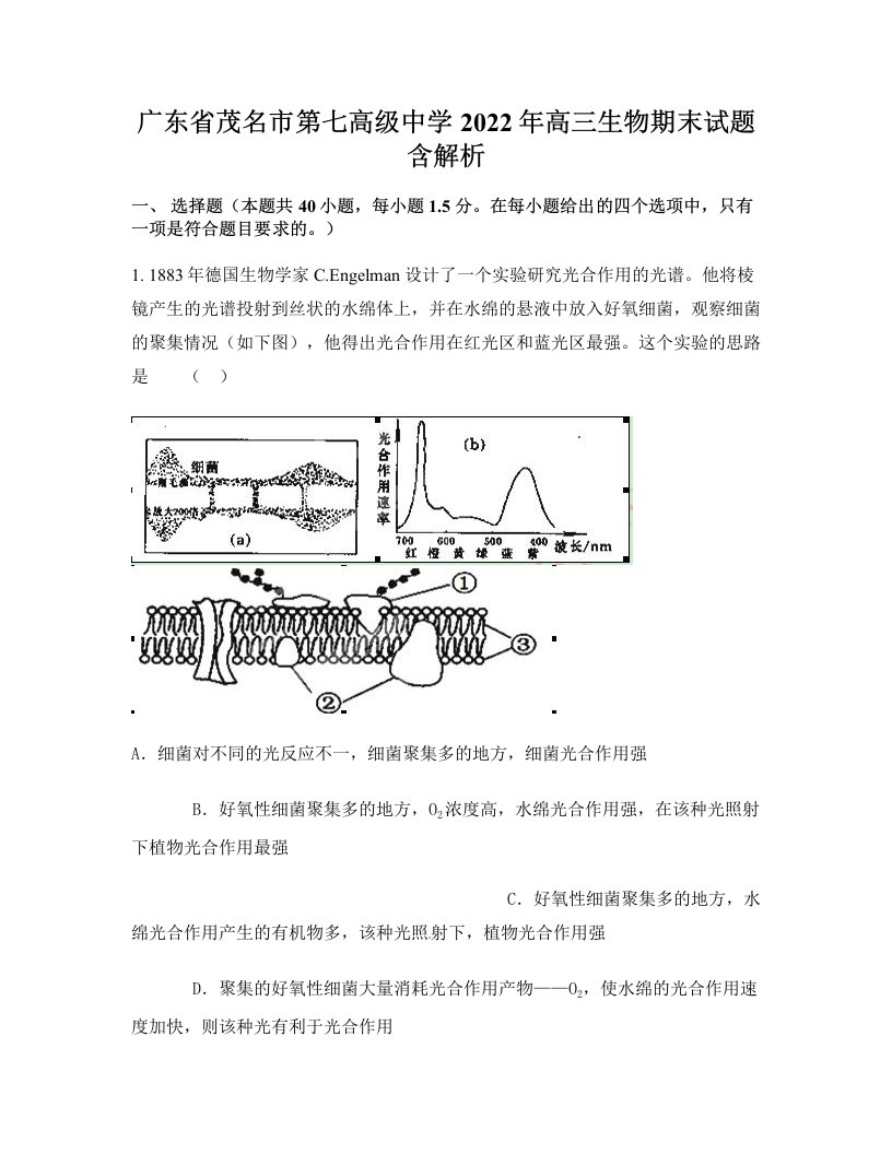 广东省茂名市第七高级中学2022年高三生物期末试题含解析