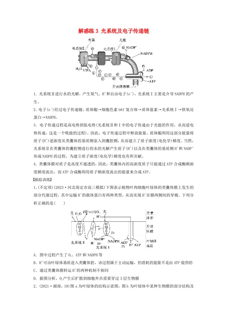 鲁湘辽新教材2024届高考生物一轮复习教案第三单元细胞的能量供应和利用解惑练3光系统及电子传递链