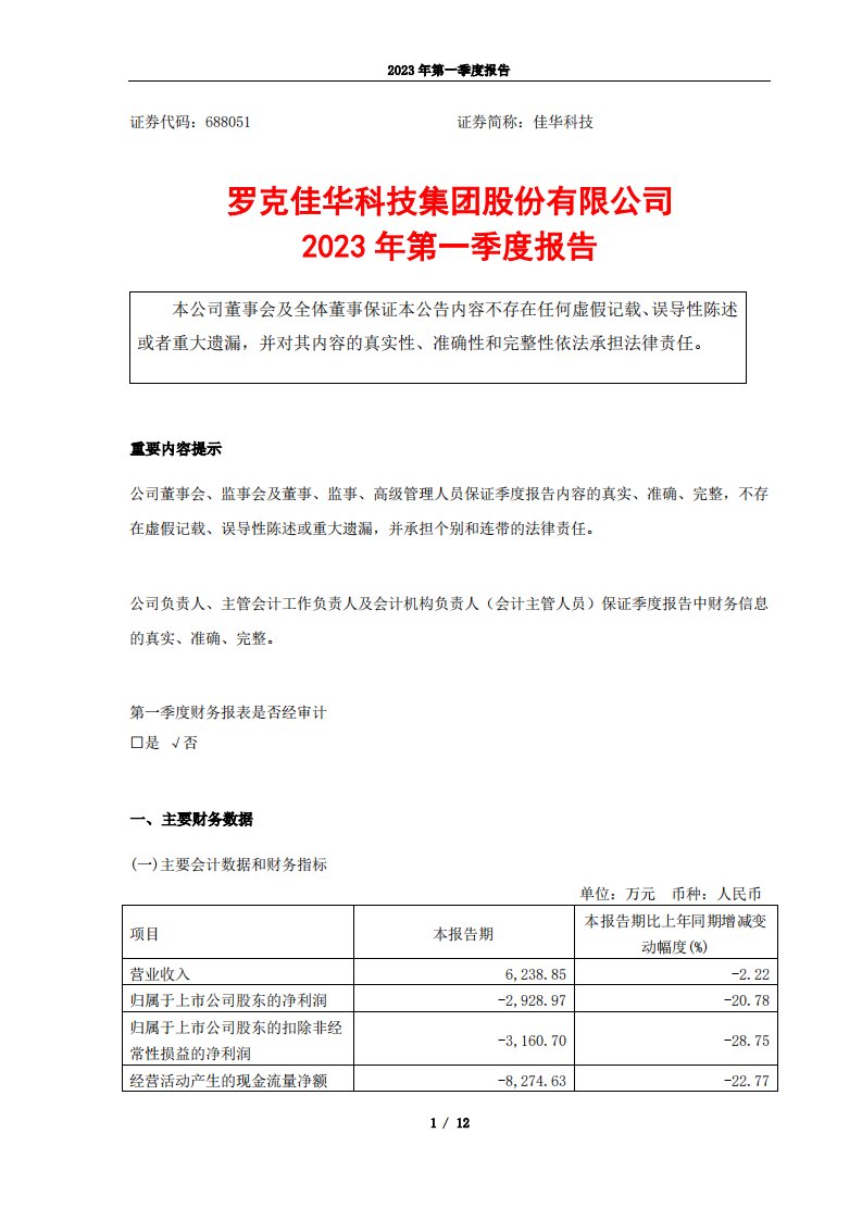 上交所-罗克佳华科技集团股份有限公司2023年一季度报告-20230428