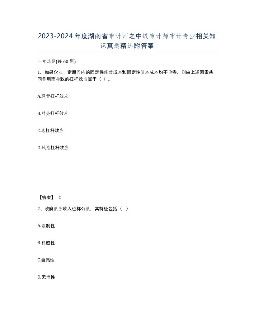 2023-2024年度湖南省审计师之中级审计师审计专业相关知识真题附答案