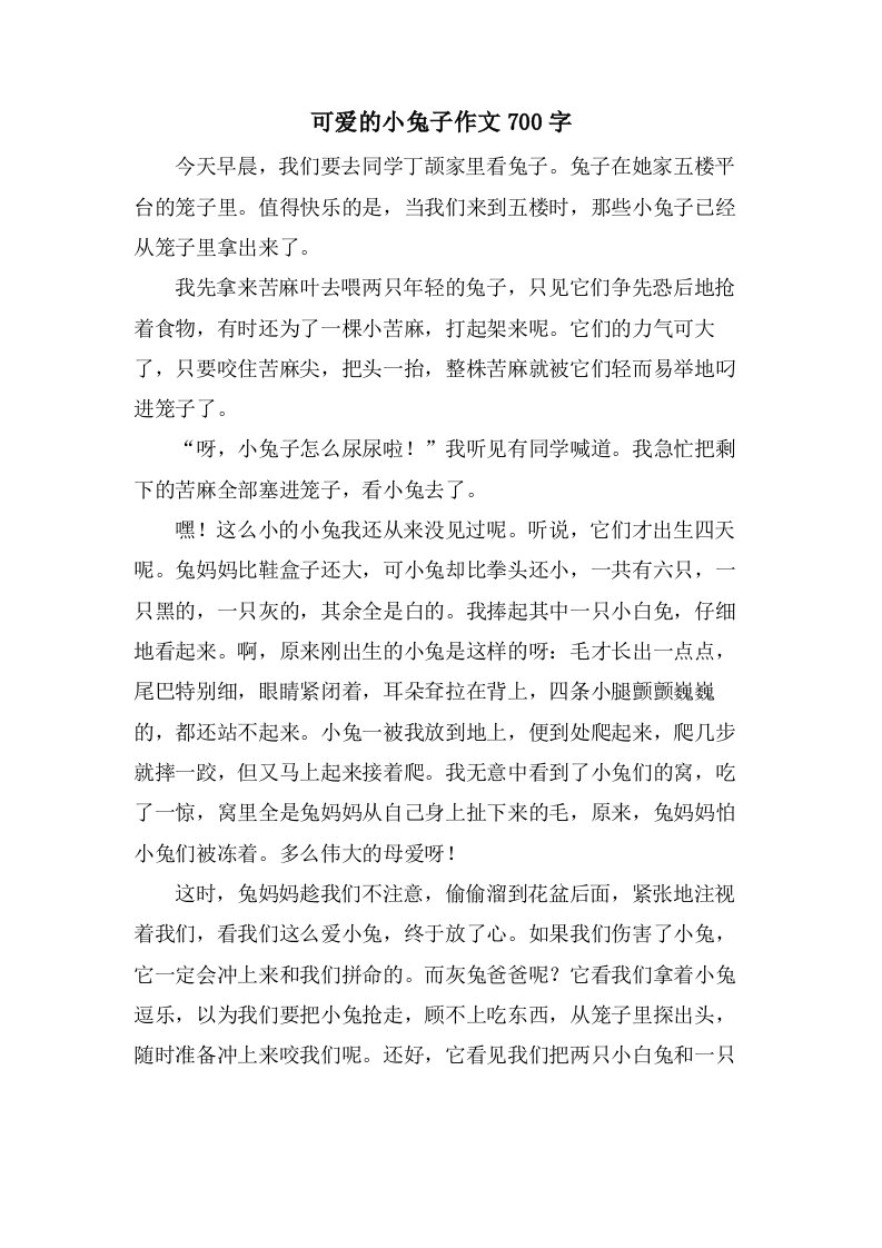 可爱的小兔子作文700字