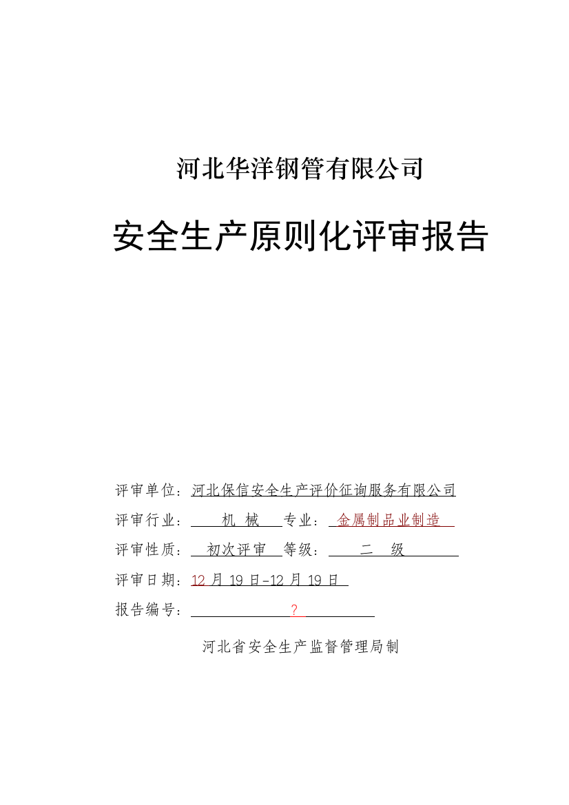 安全标准化二级企业评审报告(模板)