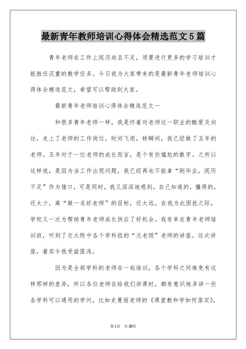 最新青年教师培训心得体会精选范文5篇