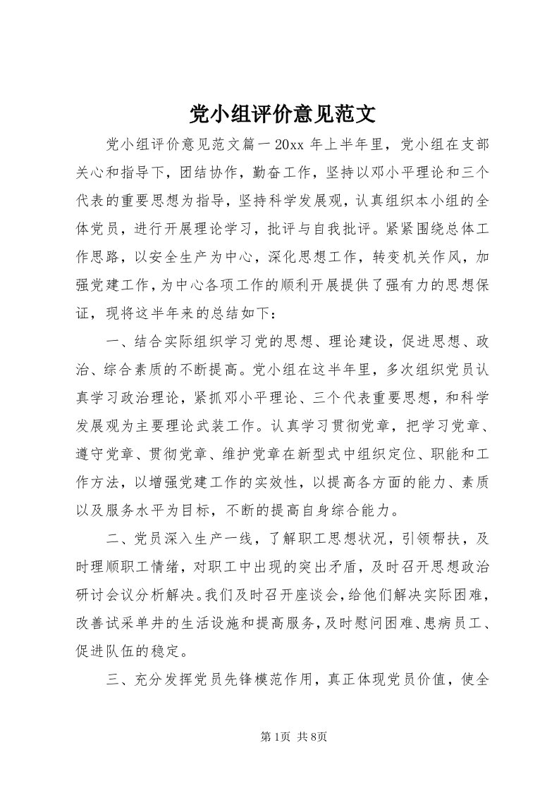 党小组评价意见范文