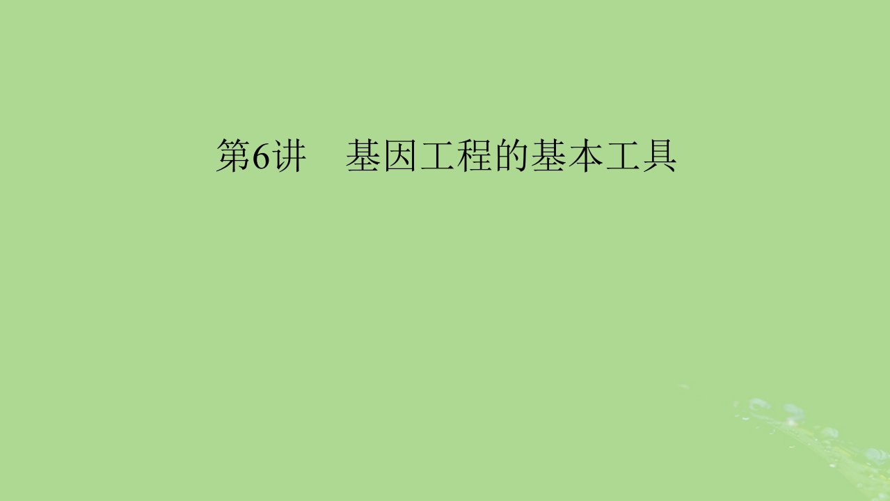 2025版高考生物一轮总复习选择性必修3第10单元生物技术与工程第6讲基因工程的基本工具课件