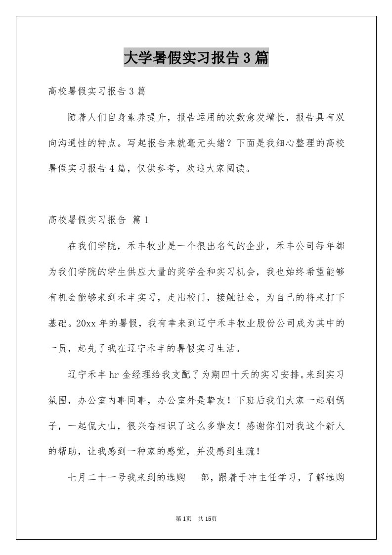 大学暑假实习报告3篇范本