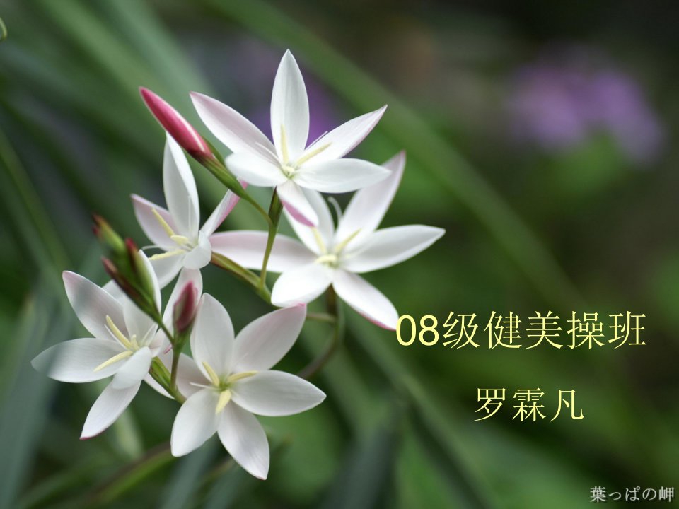 08级健美操班