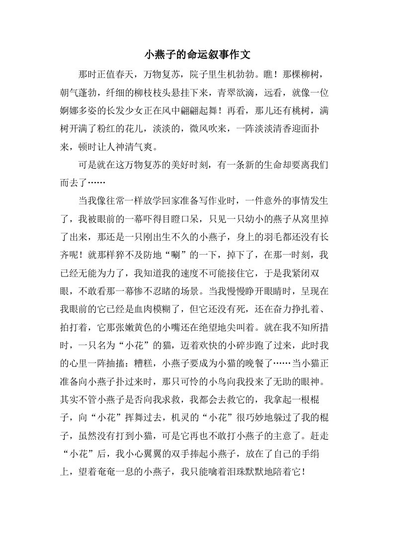 小燕子的命运叙事作文