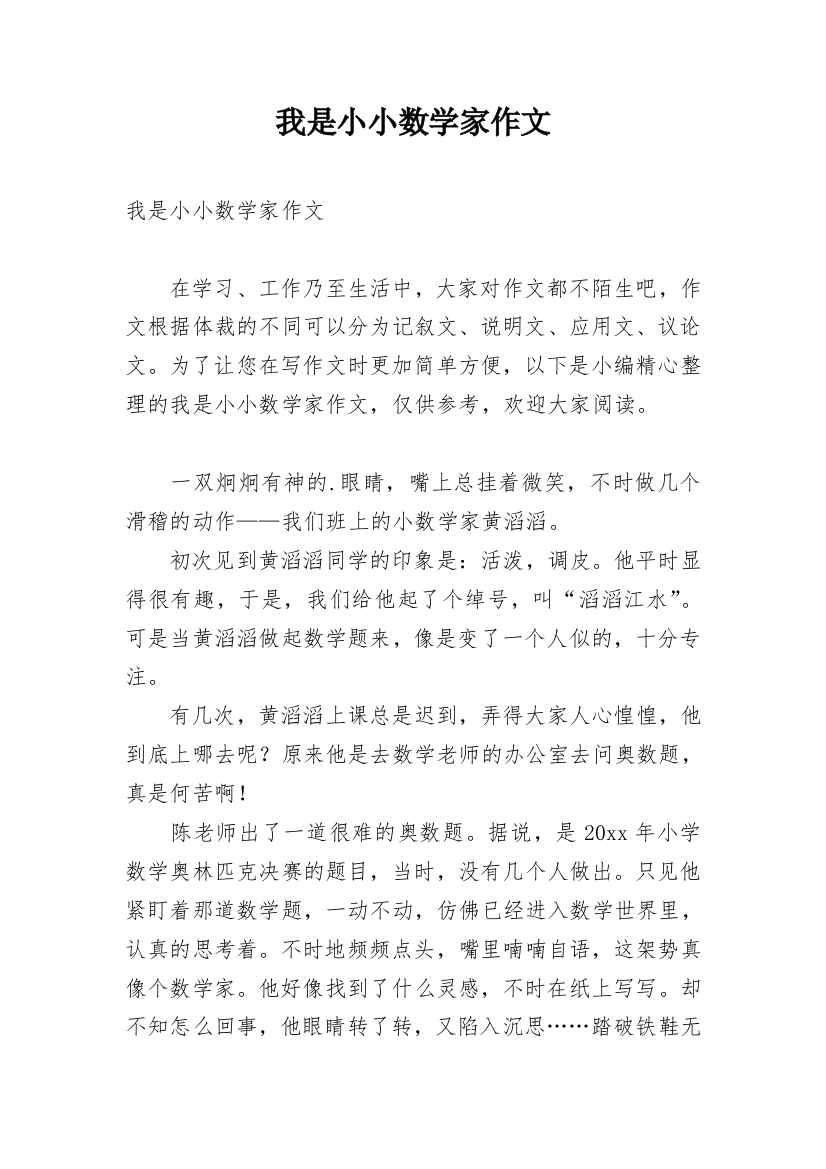 我是小小数学家作文