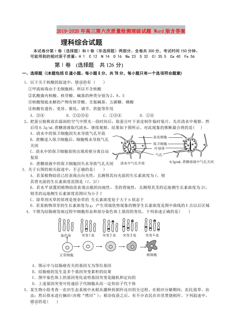 2019-2020年高三第六次质量检测理综试题