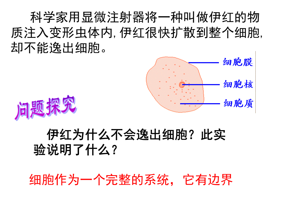 细胞膜公开课版本