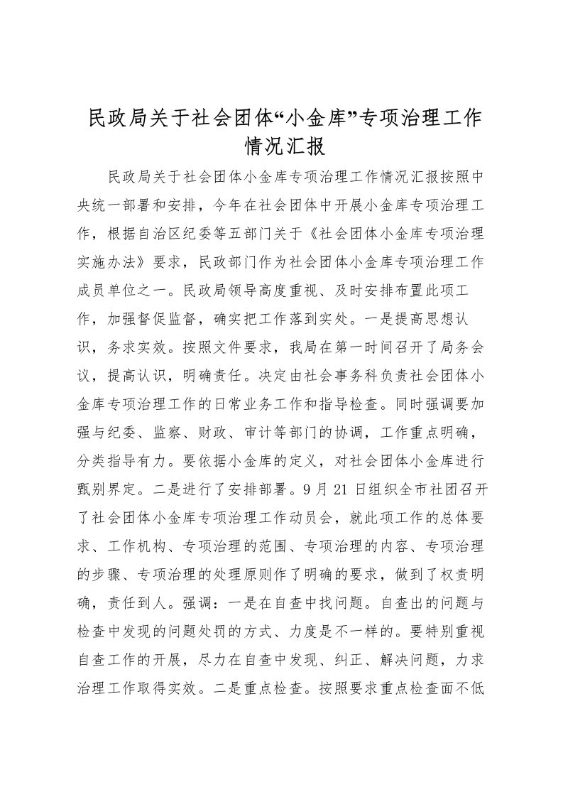 2022民政局关于社会团体“小金库”专项治理工作情况汇报