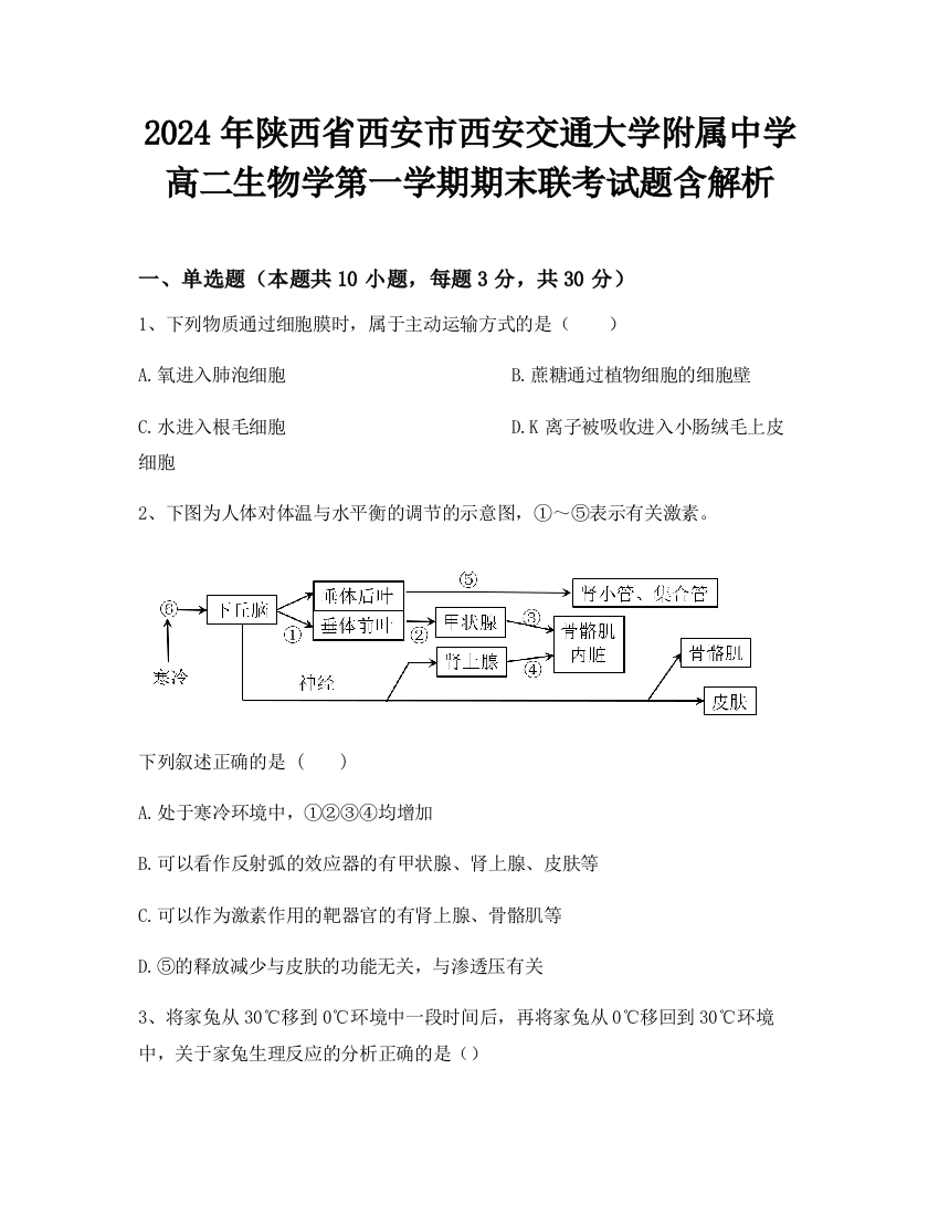 2024年陕西省西安市西安交通大学附属中学