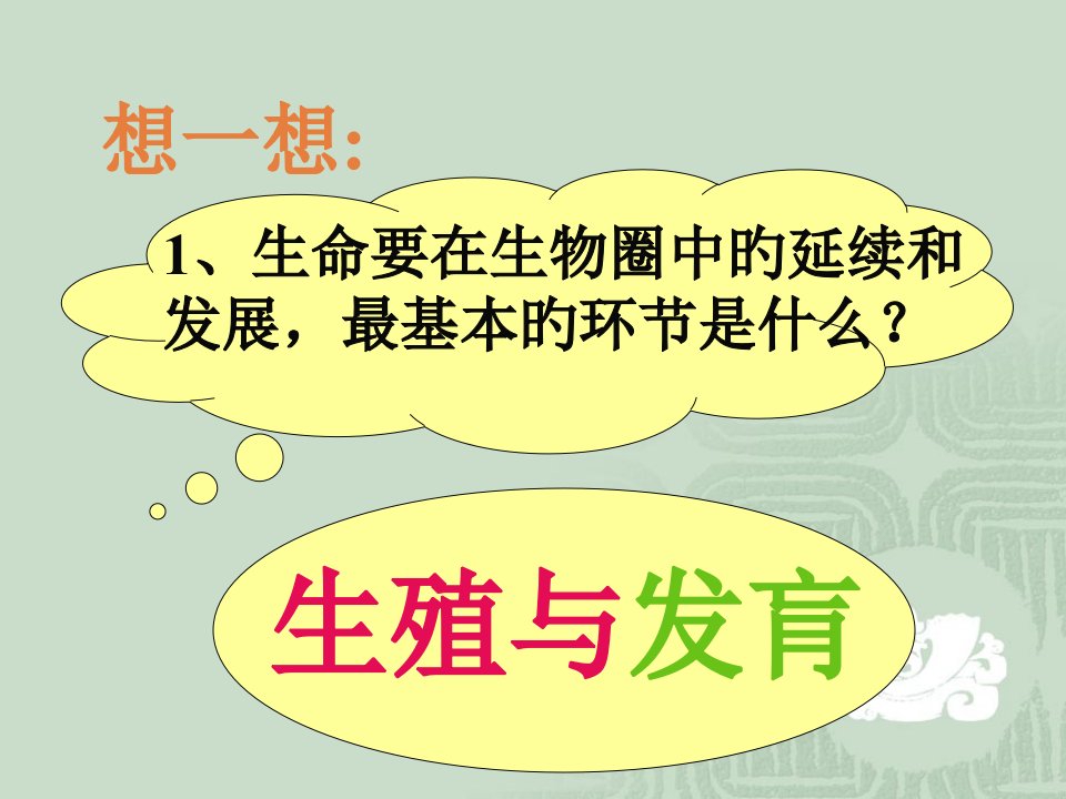 生命要在生物圈中的延续和发展最基本的环节是什么公开课获奖课件省赛课一等奖课件