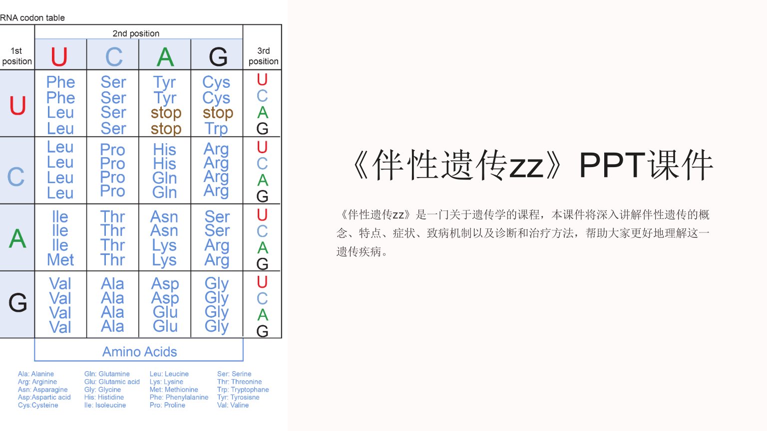 《伴性遗传zz》课件