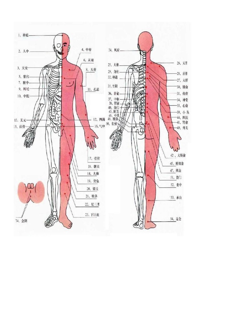 人体穴位及对应疾病治疗