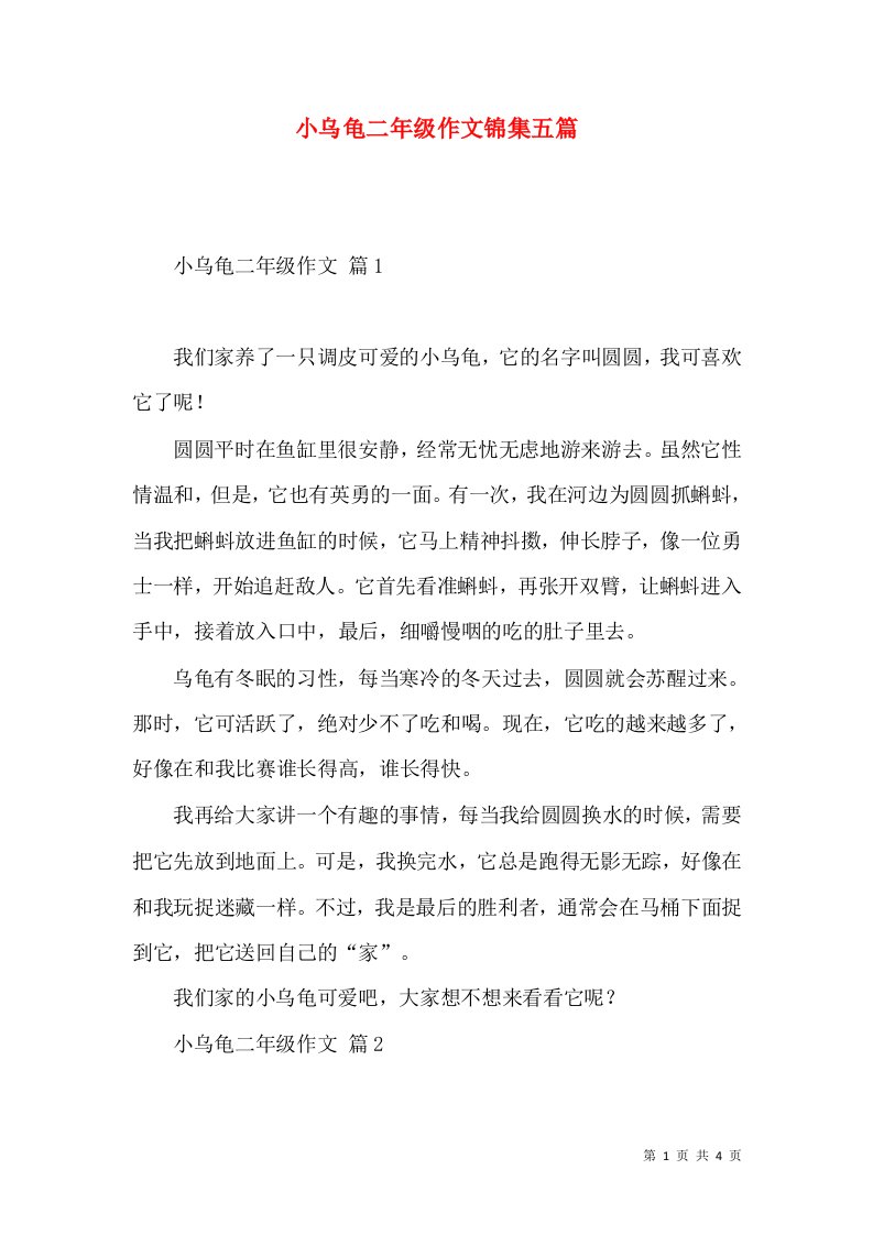 小乌龟二年级作文锦集五篇