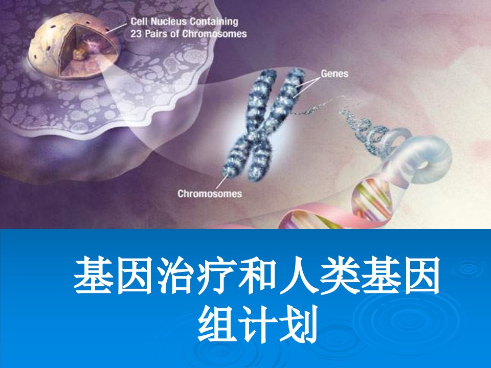 高一生物基因治疗与人类基因组计划