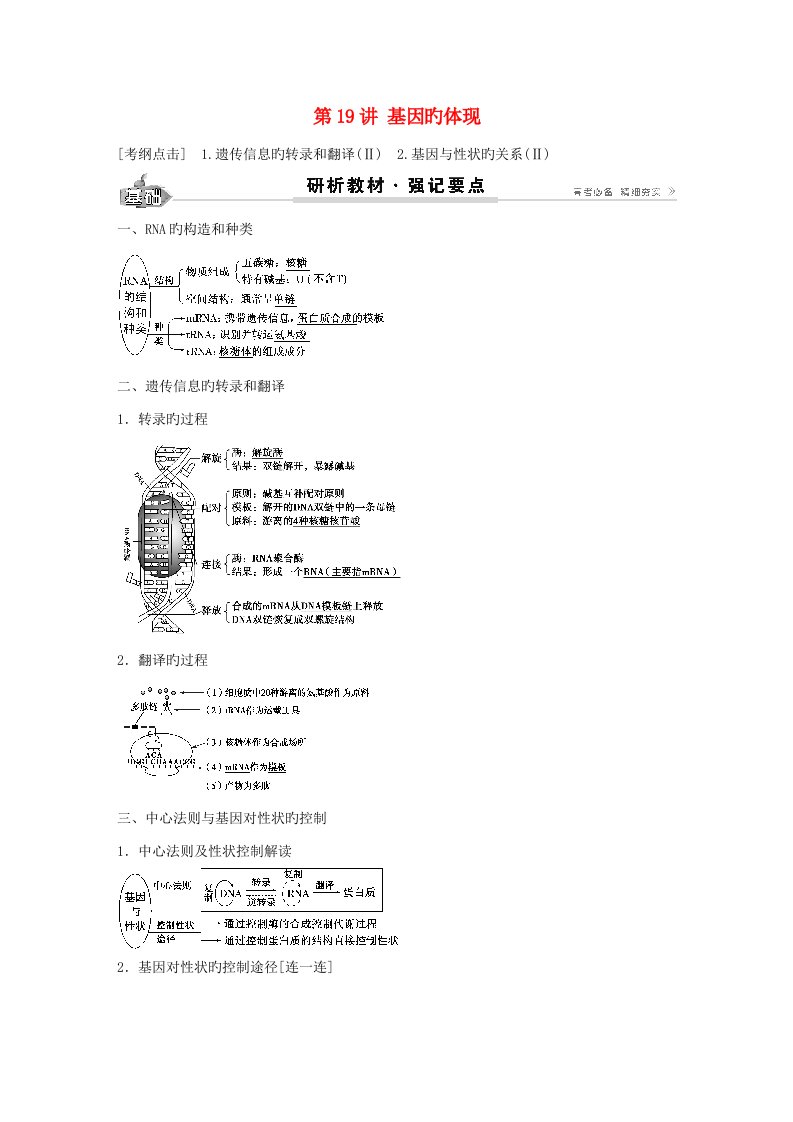 高考生物总复习第6单元第19讲基因的表达学案