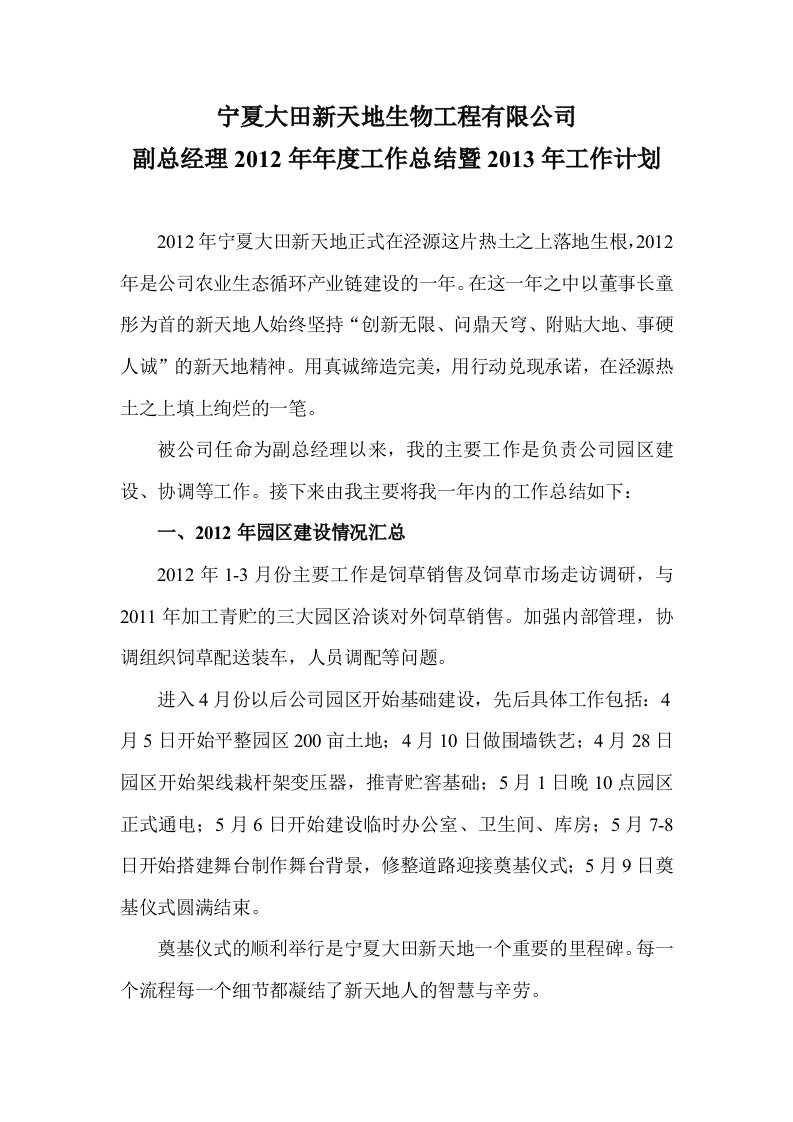 副总经理年度工作总结及计划